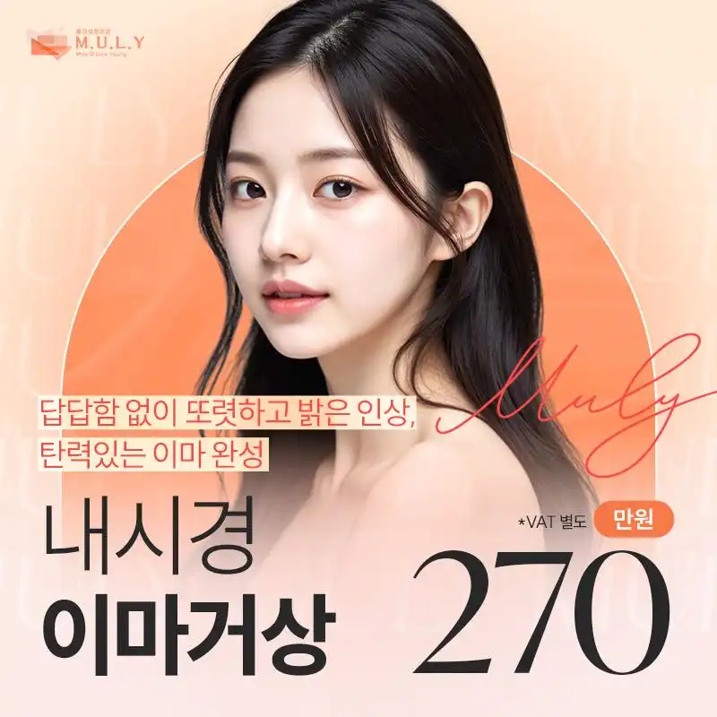 뮬리 내시경이마거상