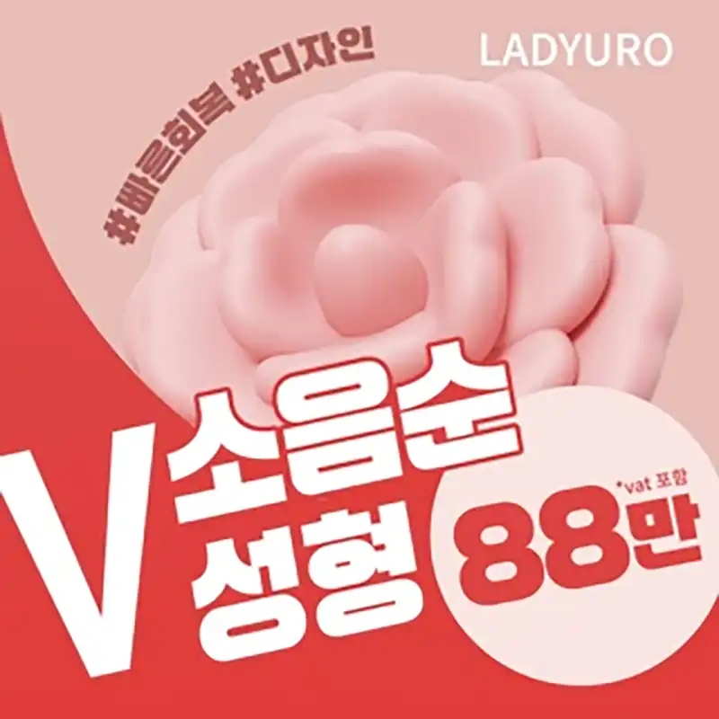 V소음순성형_V소음순수술