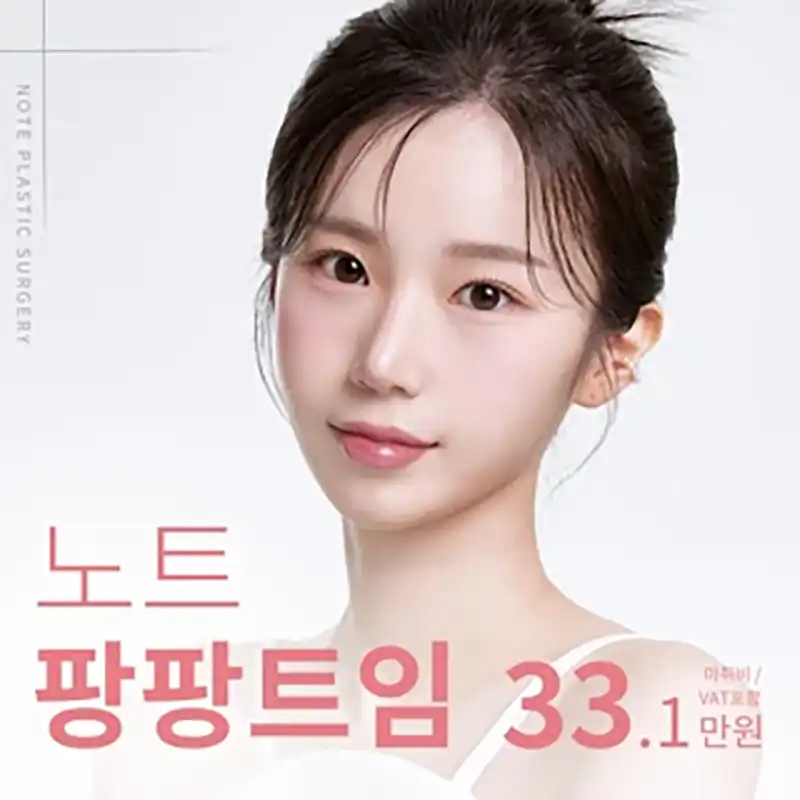 노트 팡팡트임