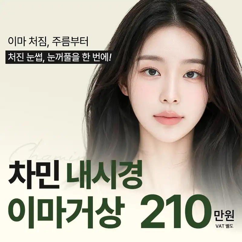 차민 내시경 이마거상