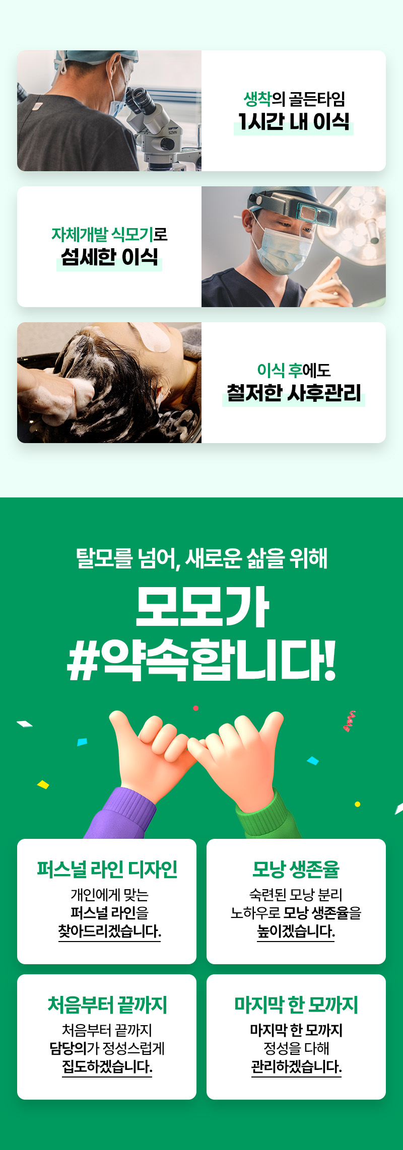 모모의원 부산점 [부산특집] 모발이식 75만원 이벤트, 시술 상세 이미지
