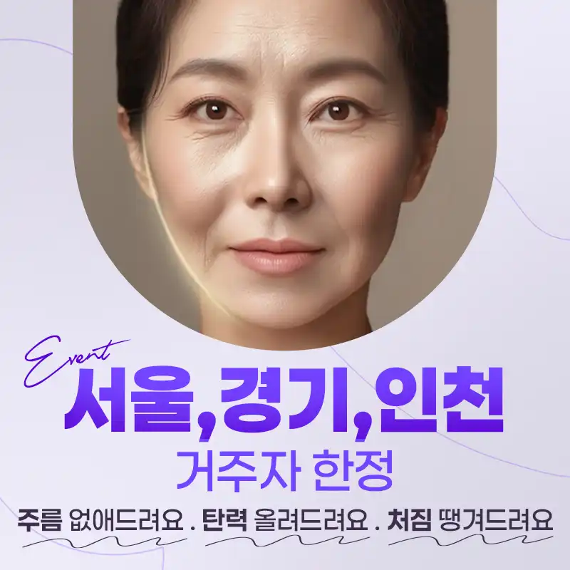 미니리프팅 수도권 거주자 특집
