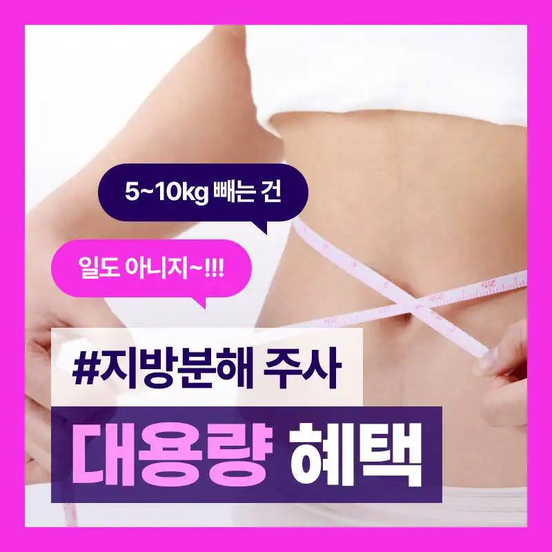 [대전특집] 지방분해주사 특별 혜택