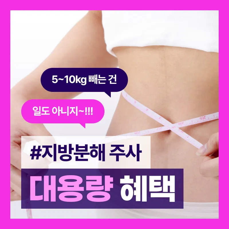 [대전특집] 지방분해주사 특별 혜택 이벤트 썸네일 이미지