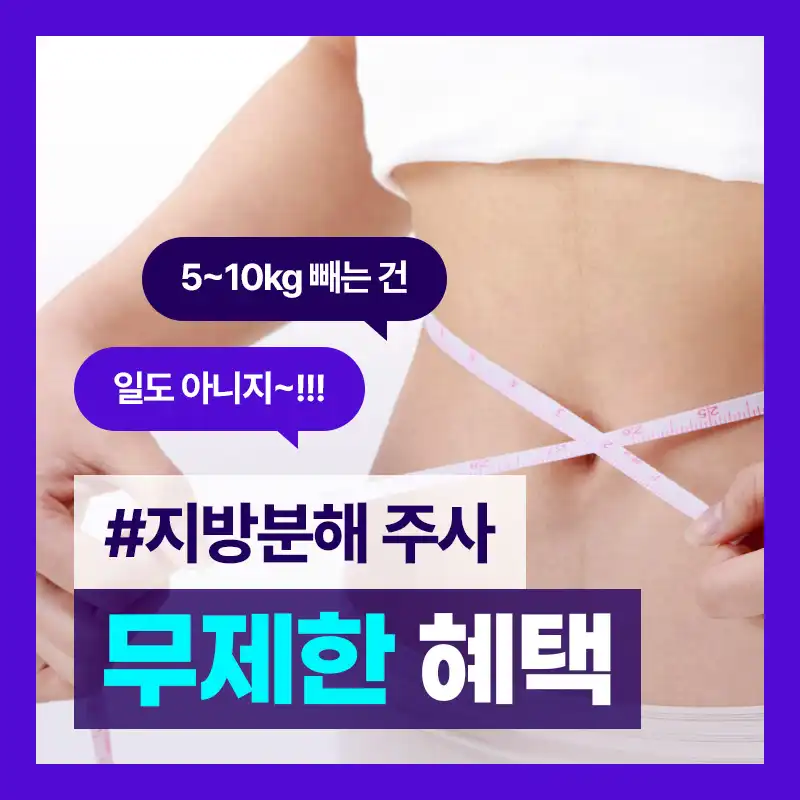 [부산특집] 지방분해주사 특별 혜택