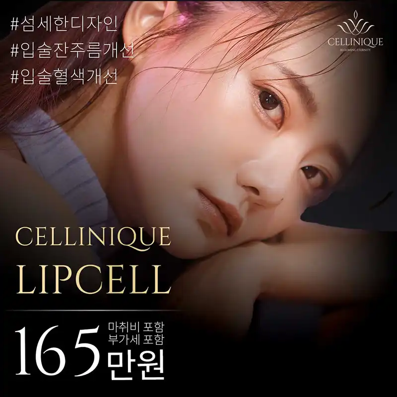 립셀 입술 지방이식